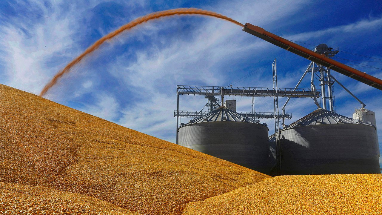 Bild: Россия, Турция и Катар готовят новую зерновую сделку